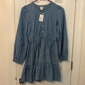 j crew kids chambray dress